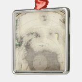 南極大陸の南半球 メタルオーナメント (左)