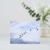 南極大陸の南極半島。 Chinstrap ポストカード (スタンド正面)