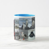 南極大陸の鳥 マグカップ (中央)