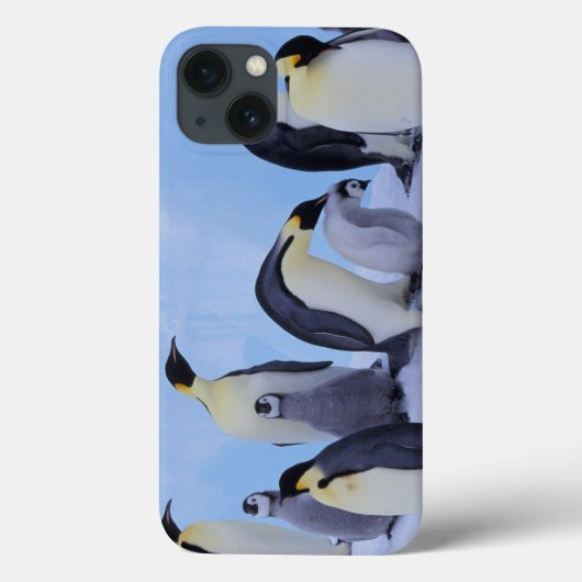 南極大陸のEmporerのペンギン((コウテイペンギン属 Case-Mate iPhoneケース (裏面)