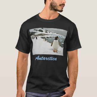 南極大陸のTシャツ Tシャツ