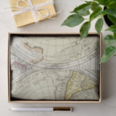 南極大陸4 薄葉紙 (ギフト)