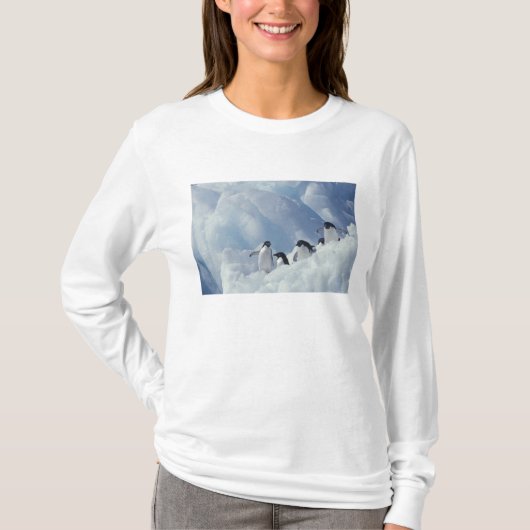 南極大陸 アデリーペンギン Tシャツ (正面)