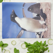 南極大陸、アデリーペンギンPygoscelis キッチンタオル (折り畳み)