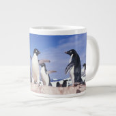 南極大陸、アデリーペンギンPygoscelis ジャンボコーヒーマグカップ (正面右)