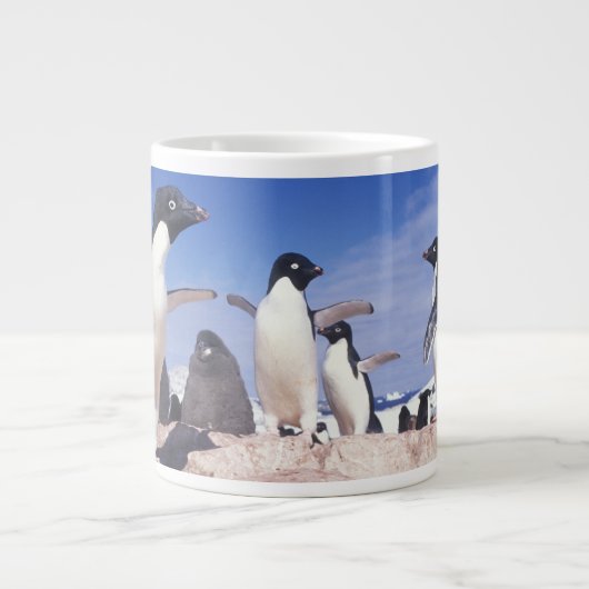 南極大陸、アデリーペンギンPygoscelis ジャンボコーヒーマグカップ (正面)