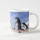 南極大陸、アデリーペンギンPygoscelis ジャンボコーヒーマグカップ (右)
