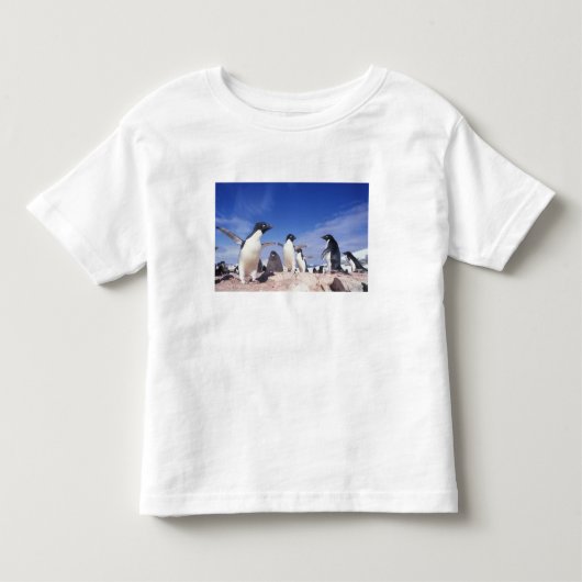 南極大陸、アデリーペンギンPygoscelis トドラーTシャツ (正面)
