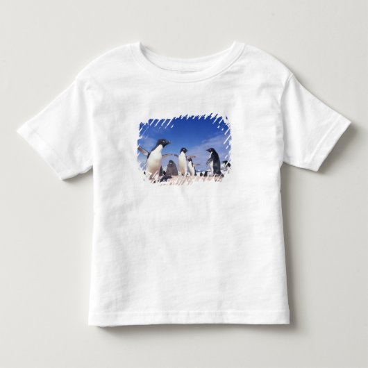 南極大陸、アデリーペンギンPygoscelis トドラーTシャツ (正面)