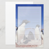 南極大陸、アデリーペンギンPygoscelis 便箋 (正面/裏面)