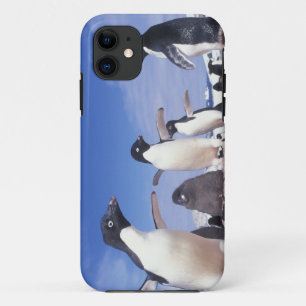 南極大陸、アデリーペンギンPygoscelis iPhone 11 ケース