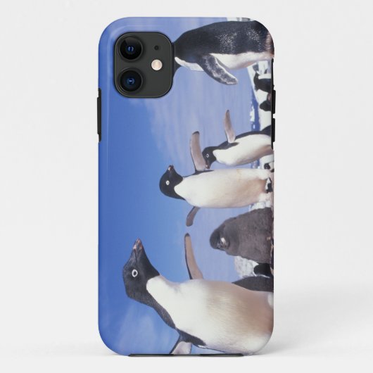 南極大陸、アデリーペンギンPygoscelis Case-Mate iPhoneケース (裏面)