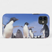 南極大陸、アデリーペンギンPygoscelis Case-Mate iPhoneケース (裏面(横))