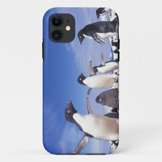 南極大陸、アデリーペンギンPygoscelis Case-Mate iPhoneケース (裏面)