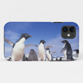 南極大陸、アデリーペンギンPygoscelis Case-Mate iPhoneケース (裏面(横))