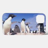 南極大陸、アデリーペンギンPygoscelis Case-Mate iPhoneケース (裏面 (横))