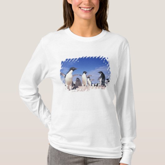 南極大陸、アデリーペンギンPygoscelis Tシャツ (正面)