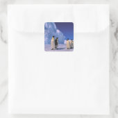 南極大陸，オーストラリア南極地域， 7 スクエアシール (バッグ)