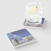 南極大陸，オーストラリア南極地域， 7 ストーンコースター (横)