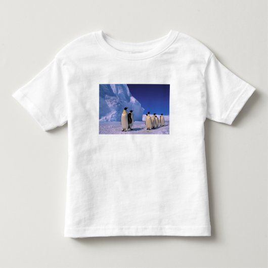 南極大陸，オーストラリア南極地域， 7 トドラーTシャツ (正面)