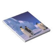 南極大陸，オーストラリア南極地域， 7 ノートパッド (アングル)