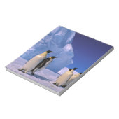 南極大陸，オーストラリア南極地域， 7 ノートパッド (回転)