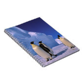 南極大陸，オーストラリア南極地域， 7 ノートブック (右側)