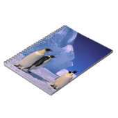 南極大陸，オーストラリア南極地域， 7 ノートブック (左側)