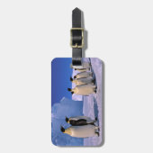 南極大陸，オーストラリア南極地域， 7 ラゲッジタグ (正面縦)