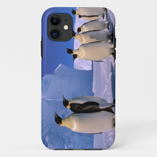 南極大陸，オーストラリア南極地域， 7 Case-Mate iPhoneケース (裏面)