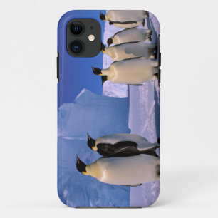 南極大陸,オーストラリア南極領土,7 iPhone 11 ケース