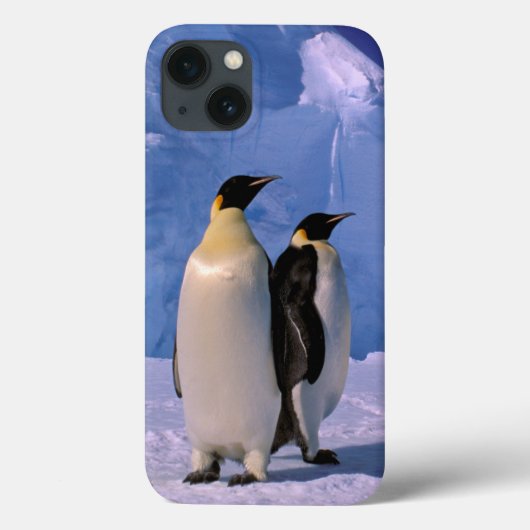 南極大陸 オーストラリア南極領土 7 Case-Mate iPhoneケース (裏面)