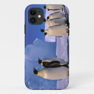 南極大陸 オーストラリア南極領土 7 iPhone 11 ケース