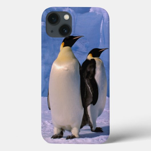 南極大陸 オーストラリア南極領土 7 Case-Mate iPhoneケース (裏面)