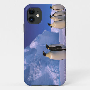 南極大陸, オーストラリア南極領土, 7 iPhone 11 ケース