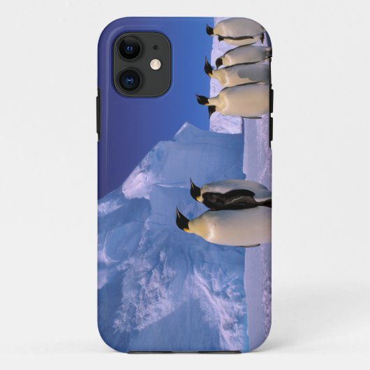 南極大陸, オーストラリア南極領土, 7 Case-Mate iPhoneケース (裏面)