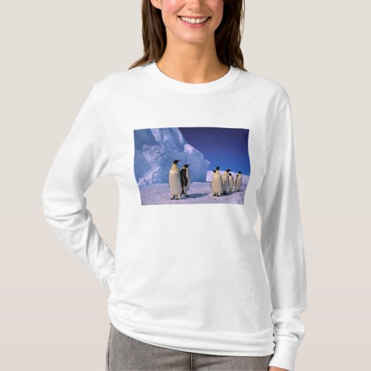 南極大陸, オーストラリア南極領土, 7 Tシャツ (正面)