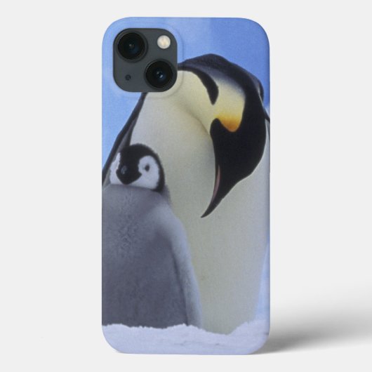 南極大陸。 コウテイペンギンおよびひよこ Case-Mate iPhoneケース (裏面)