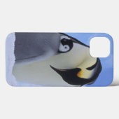 南極大陸。 コウテイペンギンおよびひよこ Case-Mate iPhoneケース (裏面 (横))