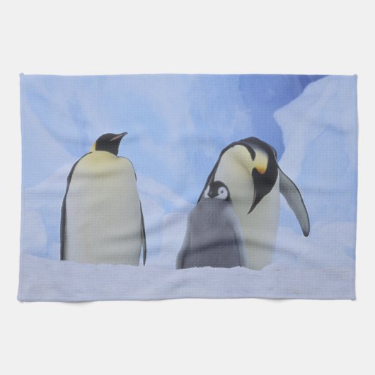 南極大陸 コウテイペンギンの親子 キッチンタオル (横)
