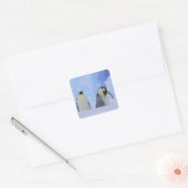 南極大陸。コウテイペンギンの親子 スクエアシール (封筒)