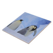 南極大陸 コウテイペンギンの親子 タイル (側面)