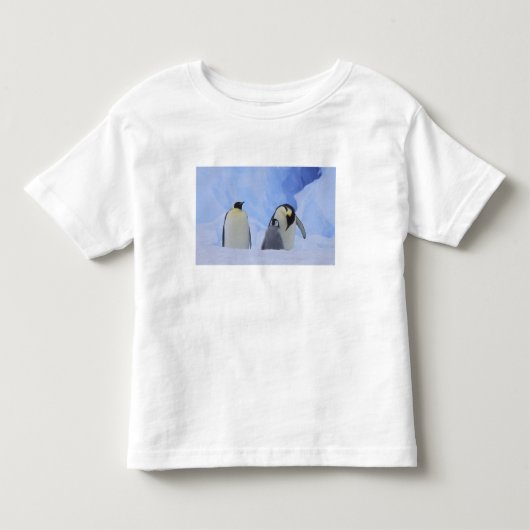 南極大陸。コウテイペンギンの親子 トドラーTシャツ (正面)