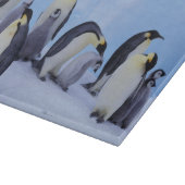 南極大陸, コウテイペンギン カッティングボード (角)