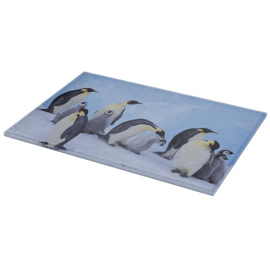 南極大陸, コウテイペンギン カッティングボード (角)