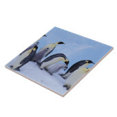 南極大陸, コウテイペンギン タイル (側面)