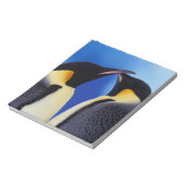南極大陸 コウテイペンギン ノートパッド (回転)