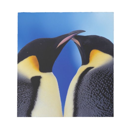 南極大陸 コウテイペンギン ノートパッド (正面)