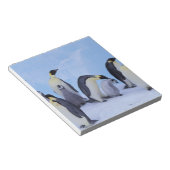 南極大陸 コウテイペンギン ノートパッド (アングル)
