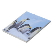 南極大陸 コウテイペンギン ノートパッド (回転)